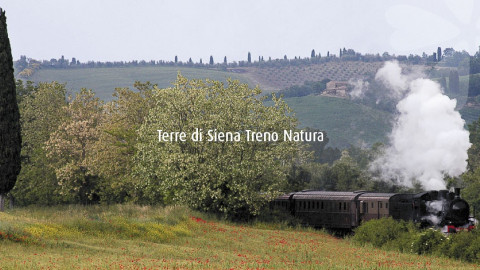 2024 W treno natura siena montepulciano 1/06 IN20